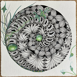 Vortex